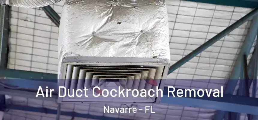Air Duct Cockroach Removal Navarre - FL