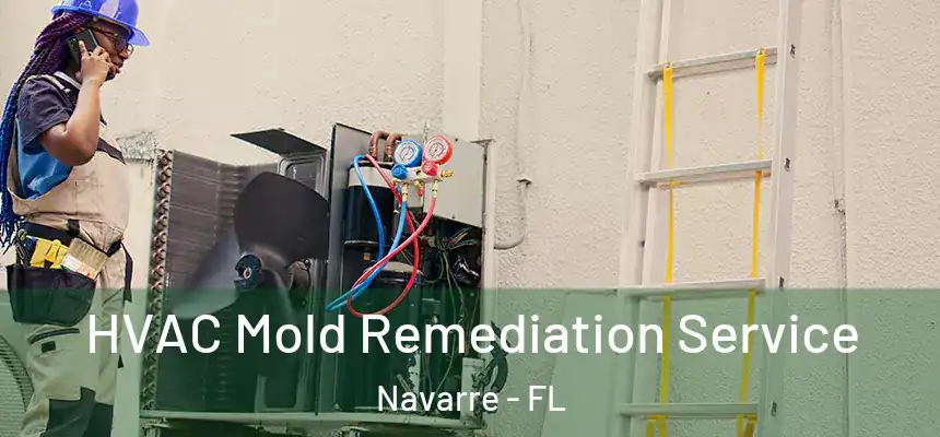 HVAC Mold Remediation Service Navarre - FL