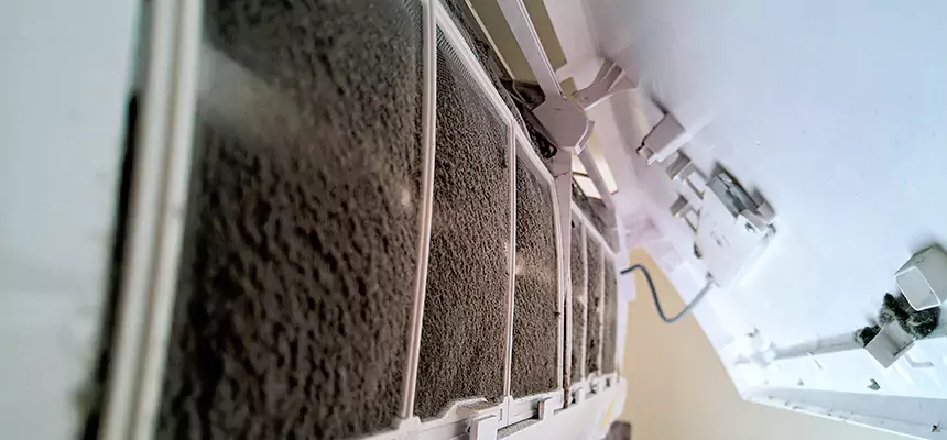 Preventive Air Duct Bacteria Removal in Navarre