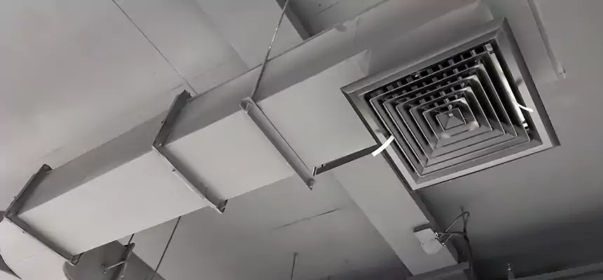 Restorative Allergy Relief Vent Cleaning – Coil, Blower & Housing Detail in Navarre