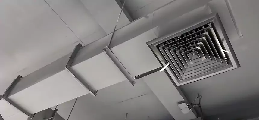 Our Pest Removal From Ducts Services in Navarre, FL