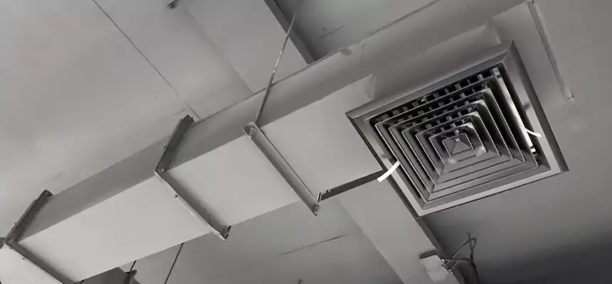 Our Rodent Droppings In Vents Services in Navarre, FL