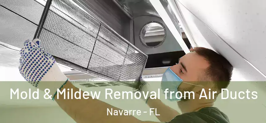 Mold & Mildew Removal from Air Ducts Navarre - FL