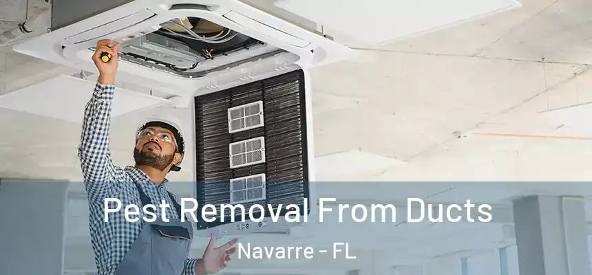 Pest Removal From Ducts Navarre - FL