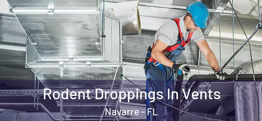 Rodent Droppings In Vents Navarre - FL