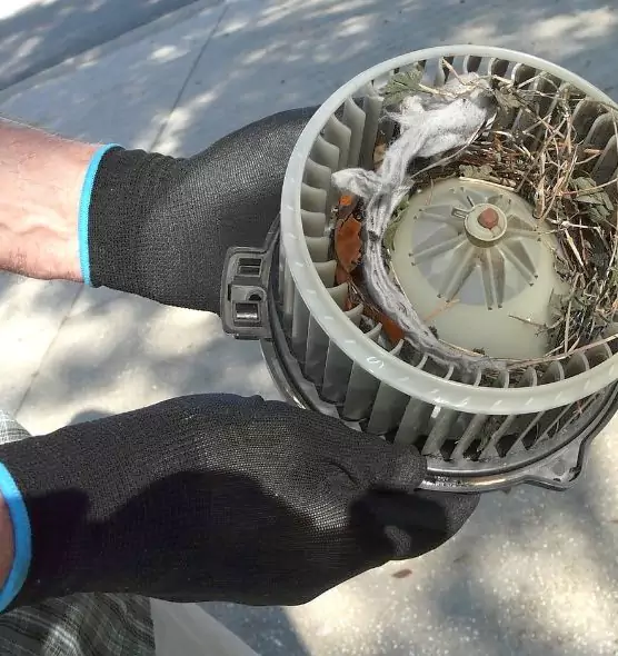 About Air Duct Mice Removal in Navarre, FL