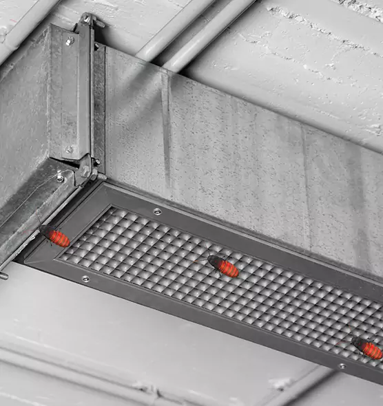 Affordable Insect Removal from Air Ducts in Navarre, FL