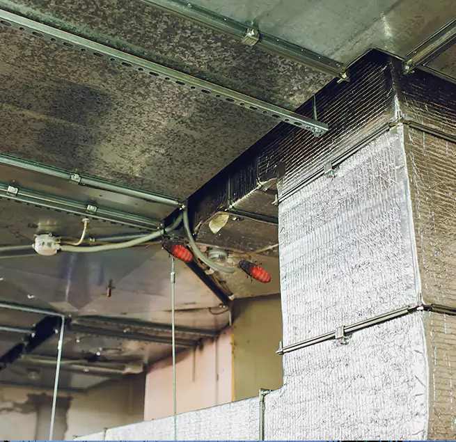 Why Homeowners & Businesses Trust Us Navarre, FL?