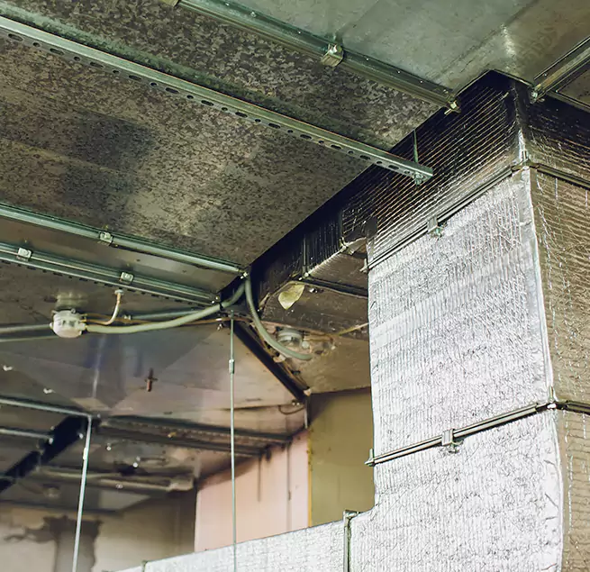 Why Homeowners & Businesses Trust Us in Navarre, FL?