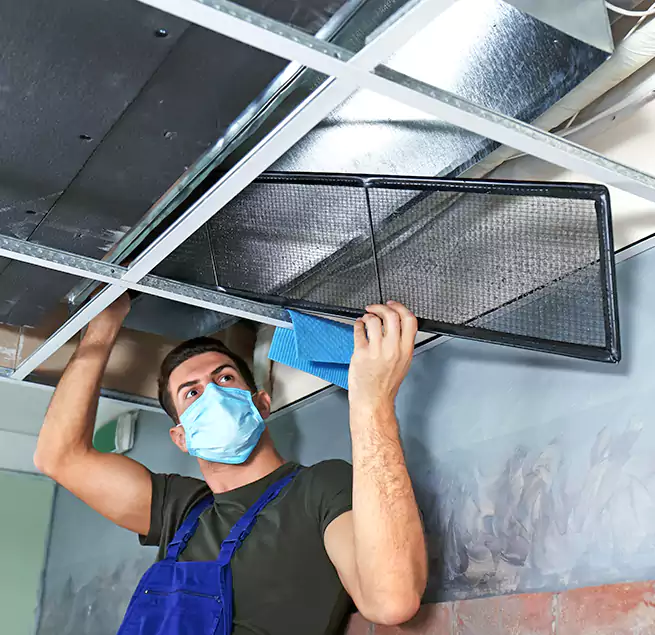 Why Homeowners Businesses Trust Us in Navarre, FL